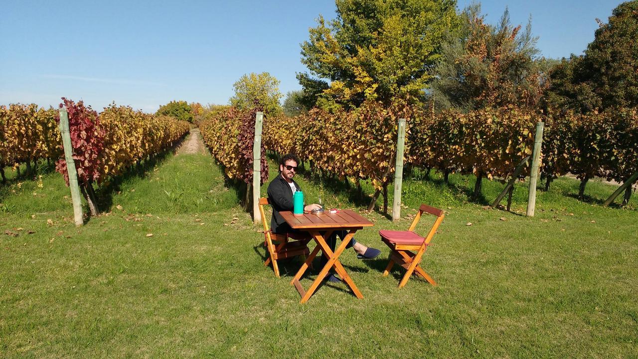 Posada Cavieres Wine Farm Maipú Dış mekan fotoğraf